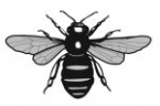 Frodsham Town Council, Frodsham, Cheshire