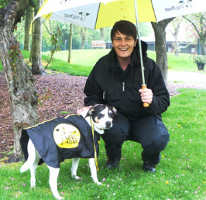 Beau in the rain