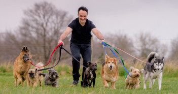 dog fest