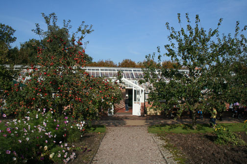 glass houses
