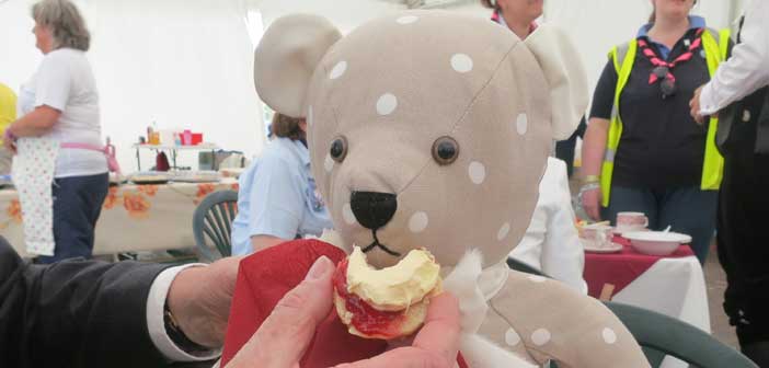 High-Tea-for-#TeddyGeorge---delicious