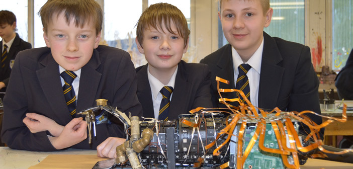 Lizard, created by Danilo Nerici, George Bogg and Samuel Williams at Bridgewater High School