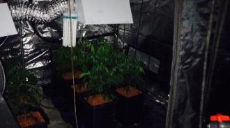 west cannabis farm