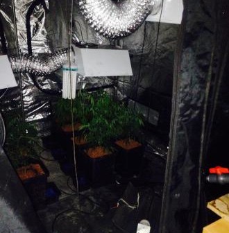 west cannabis farm