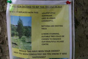 tree poster