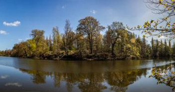 lymm dam