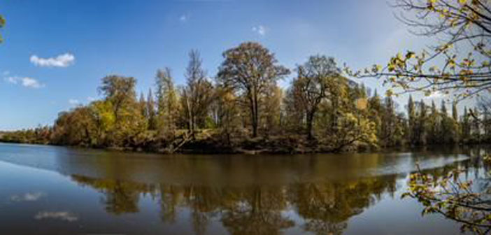 lymm dam