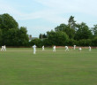 Three batsmen