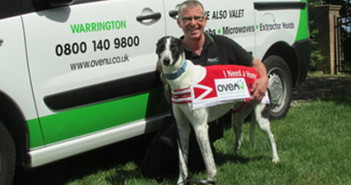 Ovenu retired greyhound Rocky