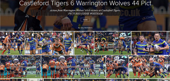 tigers-gallery