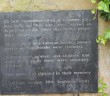 Thames Board Mills