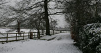 snow