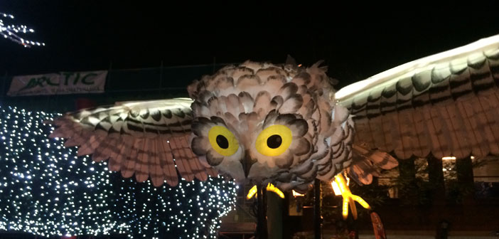 lantern-parade-owl