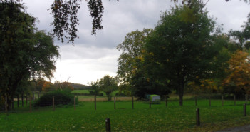 stables