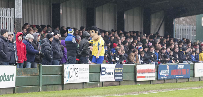 town-crowd