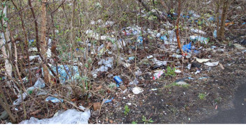 litter