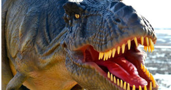 dinosaur