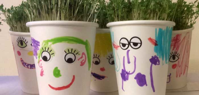 flower pots