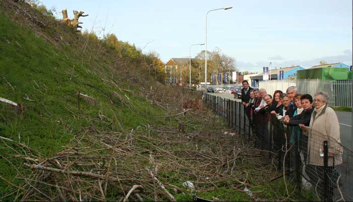 latchford-railway-embankment3