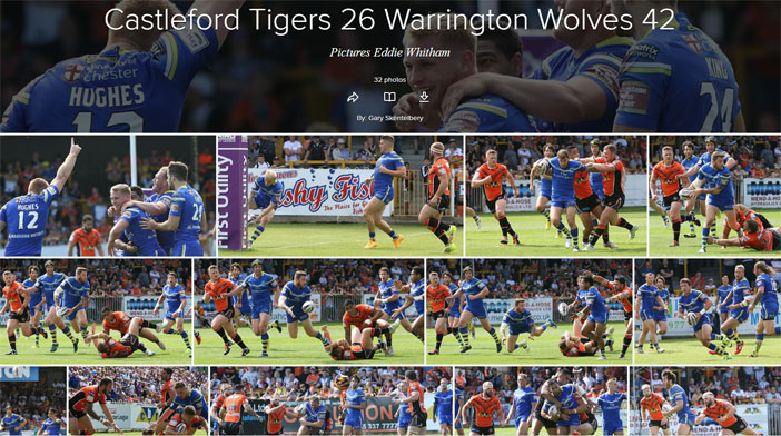 tigers-gallery