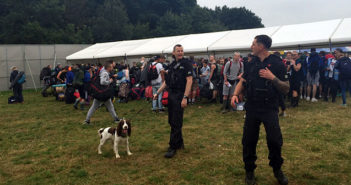 creamfields