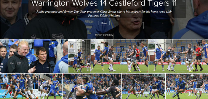 wolves-tigers-gallery
