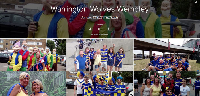 wolves-wembley-gallery