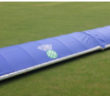 cricket