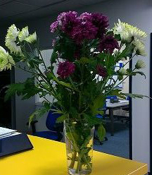flowers