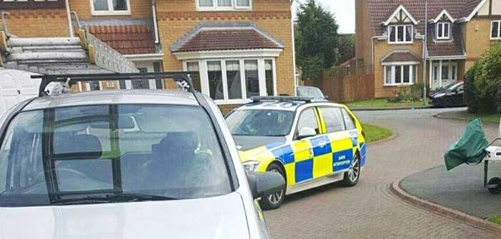 rogue traders
