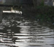 flood warnings