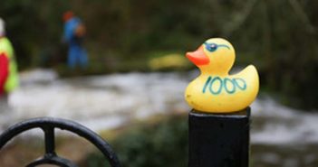 Lymm Duck Race