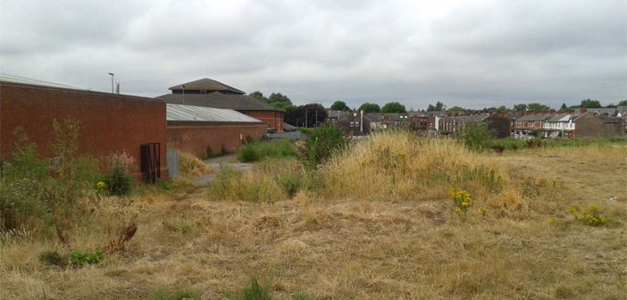 wilderspool