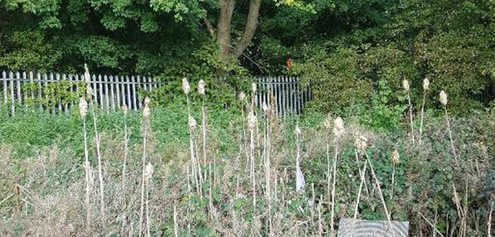 School Plans Extra Security To Stop Children Trying To Jump Fence School Plans Extra Security To Stop Children Trying To Jump Fence