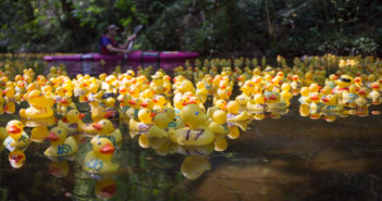 Duck Race