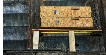 bat boxes