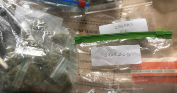 drugs raid