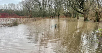 flooding