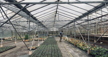Primrose Hill Nursery