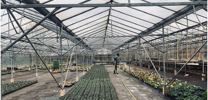 Primrose Hill Nursery