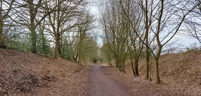 Trans Pennine Trail