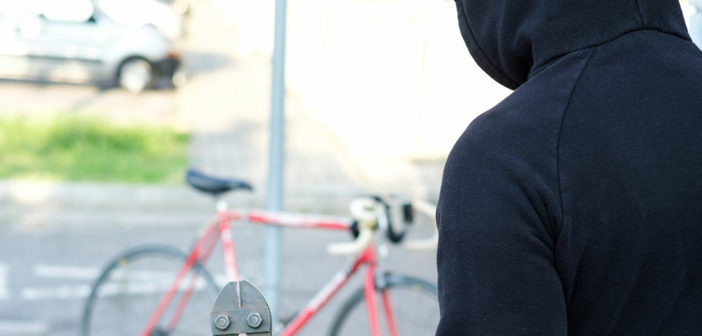cycle thefts
