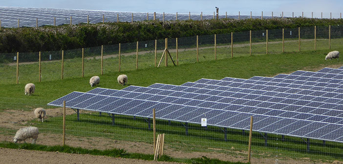 solar farm