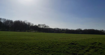 Mersey Forest