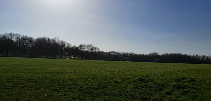 Mersey Forest