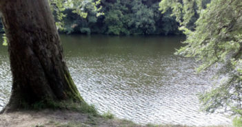 Lymm Dam