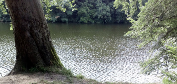 Lymm Dam