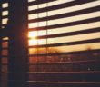 blinds