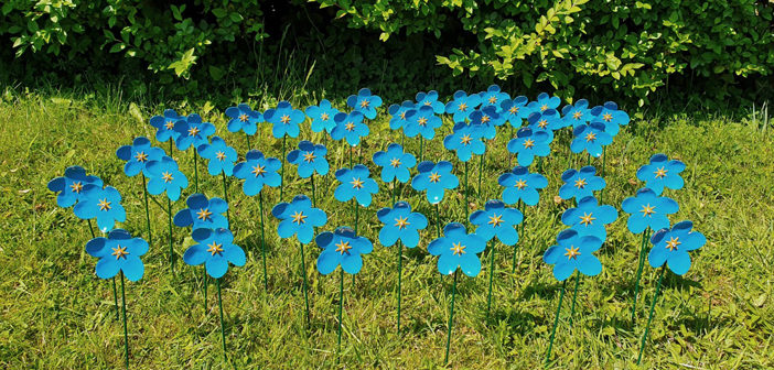Forget-me-not garden