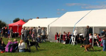 Hatton Show
